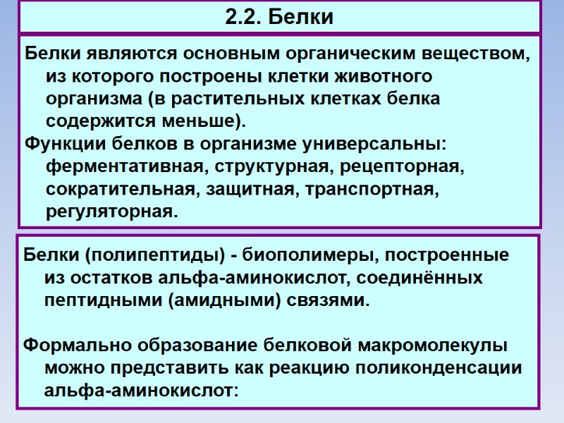 2.2. Белки Белки являются основным органическим веществом, из которого построены клетки животного организма (в